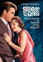  Великолепие в траве смотрите онлайн (1961) в хорошем качестве