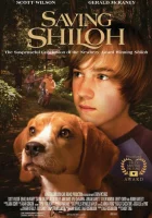  Спасая Шайло смотрите онлайн (2006) в хорошем качестве