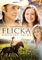  Флика 3 смотрите онлайн (2012) в хорошем качестве