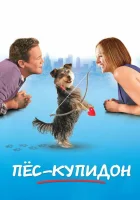  Пес-купидон смотрите онлайн (2012) в хорошем качестве