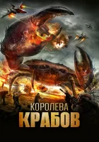  Королева крабов смотрите онлайн (2015) в хорошем качестве