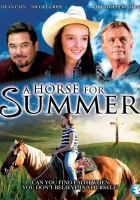  Лошадь на лето смотрите онлайн (2015) в хорошем качестве