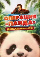  Операция «Панда». Дикая миссия смотрите онлайн (2026) в хорошем качестве