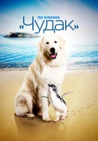  По кличке «Чудак» смотрите онлайн (2015) в хорошем качестве