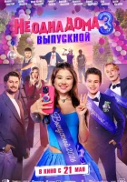  Не одна дома 3. Выпускной смотрите онлайн (2026) в хорошем качестве