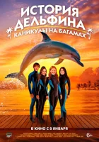  История дельфина: Каникулы на Багамах смотрите онлайн (2025) в хорошем качестве
