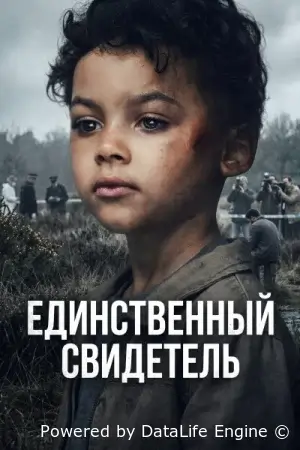 Единственный свидетель смотрите онлайн сериал 1 сезон в хорошем качестве