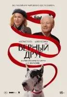  Верный друг смотрите онлайн (2024) в хорошем качестве